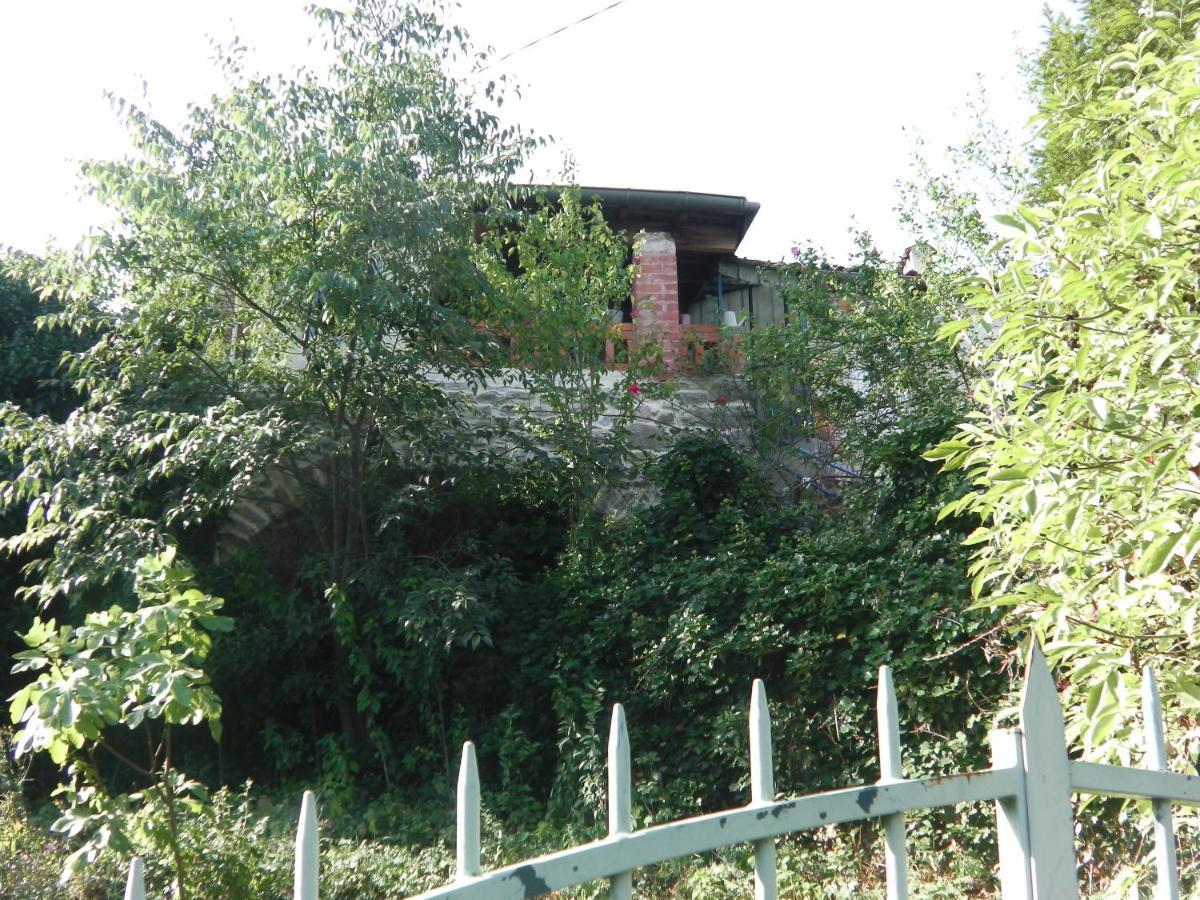 Maison De Village Ardechoise A Les Vans Luaran gambar